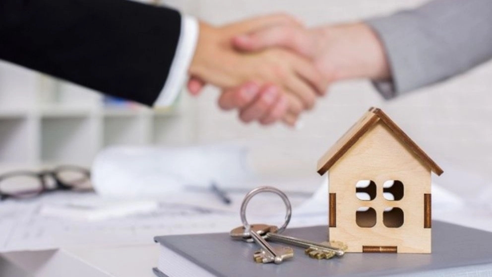 Important features of a professional real estate consultant